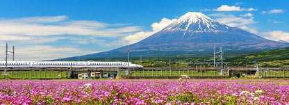 Tour Tokyo